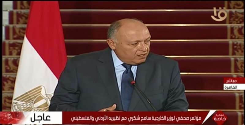 سامح شكري