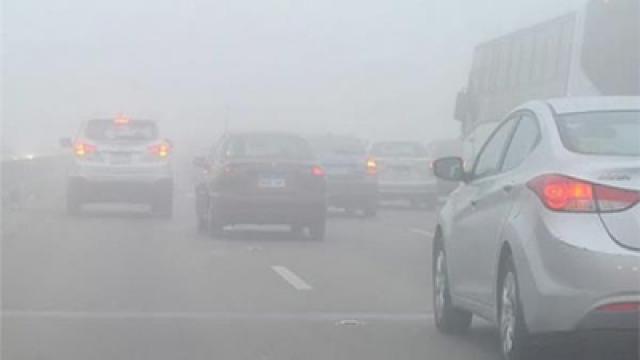 الشبورة في مصر
