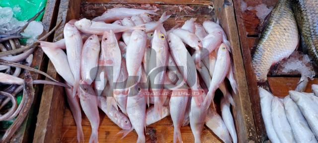 تعرف على أسعار الأسماك في الأسواق اليوم الأربعاء 27 يناير 2021