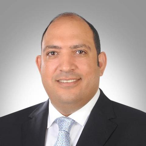 محمد رشاد عثمان عضو مجلس الشيوخ