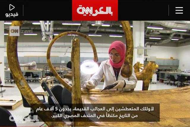 تقرير CNN عن مصر