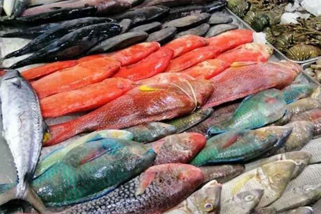 أسعار الأسماك في منافذ البيع المختلفة اليوم الأحد 14 مارس 2021