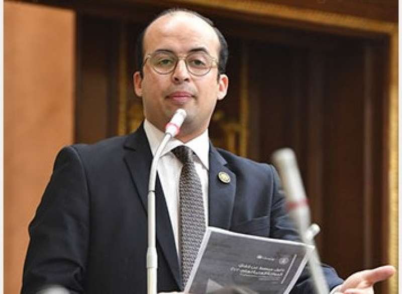 النائب خالد بدوي، نائب تنسيقية الأحزاب