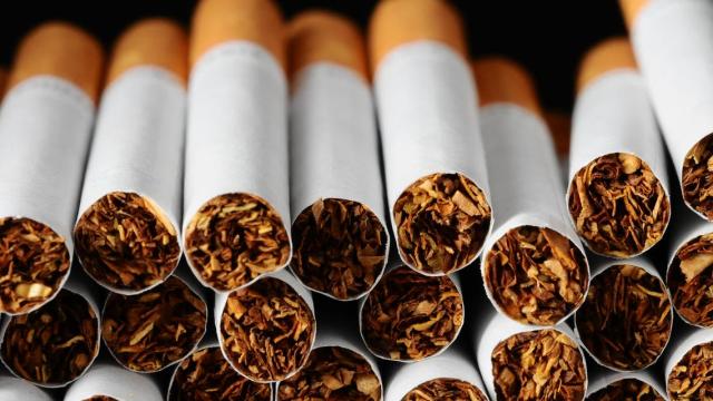 أعلى إيرادات في تاريخها.. الشرقية للدخان تبيع 17.5 مليار سيجارة في 3 أشهر