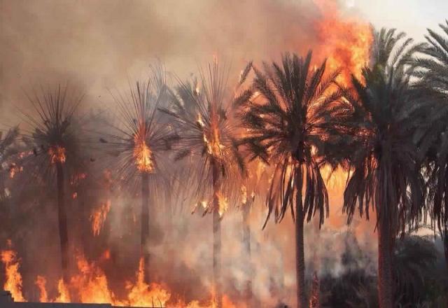 السيطرة على حريق 5 أفدنة في أماكن متفرقة بمحافظة قنا