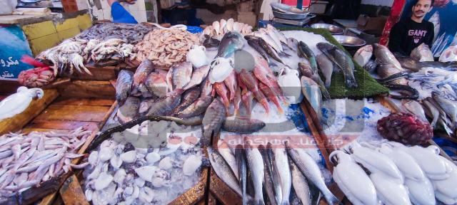 أسعار السمك في مصر اليوم الجمعة 12-2-2021.. الجمبري يبدأ بـ85 جنيه