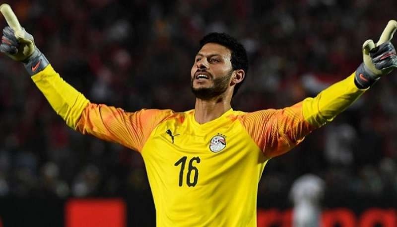 الشناوي 