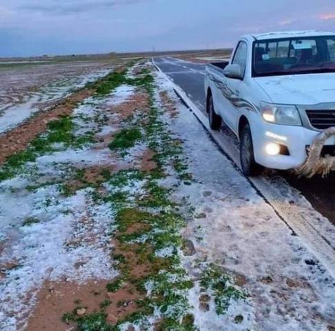 حالة الطقس بالإسكندرية