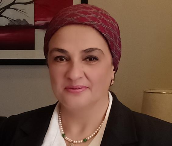 النائبة سميرة الجزار عضو لجنة الخطة والموازنة بمجلس النواب
