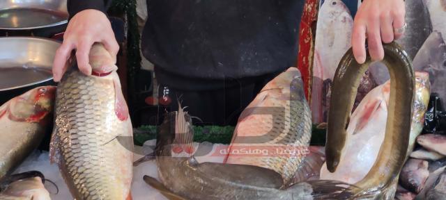 أسعار السمك في السوق المصري اليوم الجمعة 26-2-2021