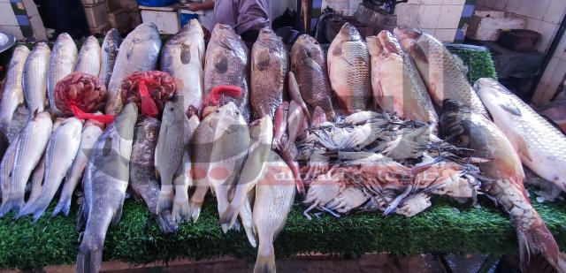 أسعار الأسماك داخل الأسواق اليوم الأربعاء 24 مارس 2021