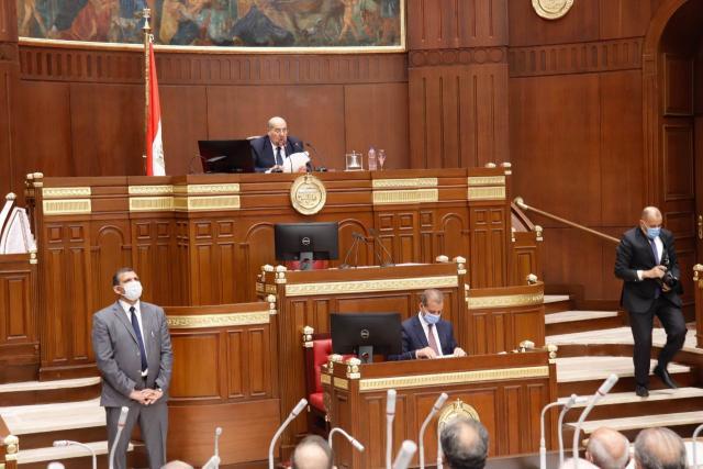 برلماني عن زيادة المرتبات: القرار يتوافق مع رؤية التنمية مصر 2030