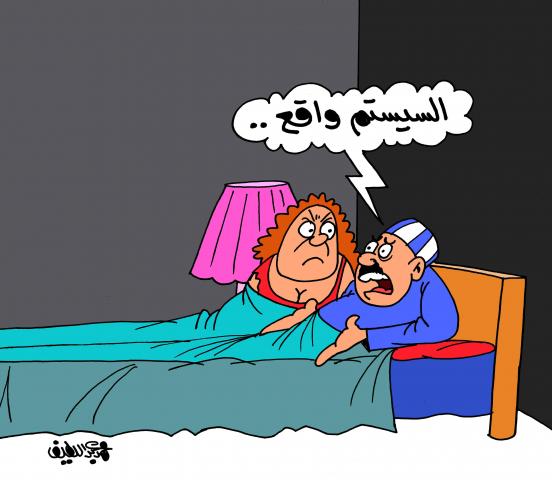 السيستم واقع (كاريكاتير)