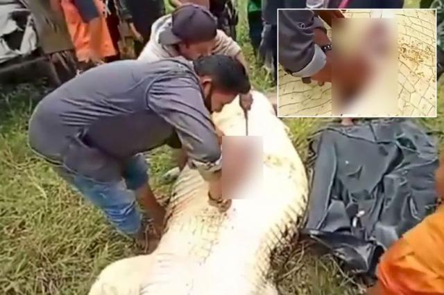 استخراج جثة طفل من بطن تمساح