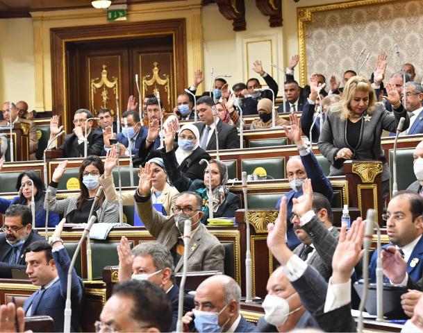 برلمانية: الزيادة السكانية في مصر منذ 2011 تمثل مجموع 3 دول