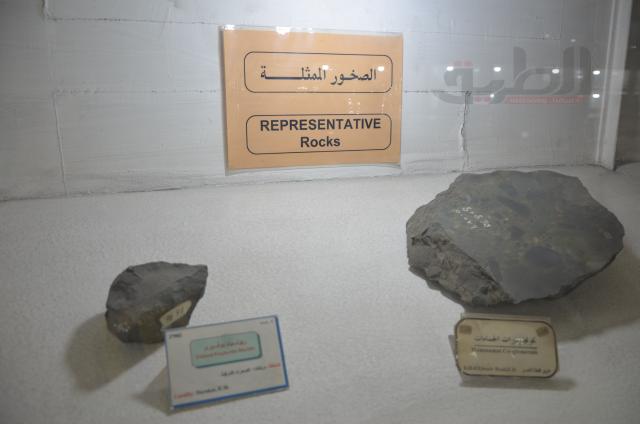 أحجار كريمة من المتحف الحيواني بالجيزة