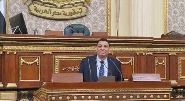 برلماني: كلمة السيسي في قمة جدة كشفت محورية مصر بملفات المنطقة