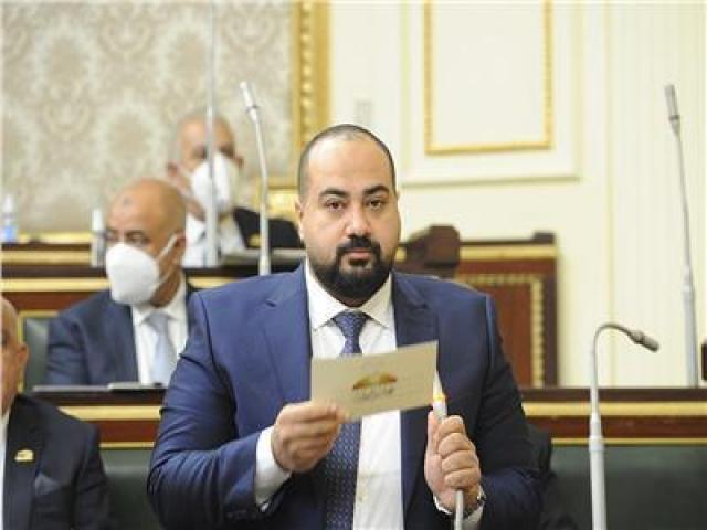 النائب حسام زكي