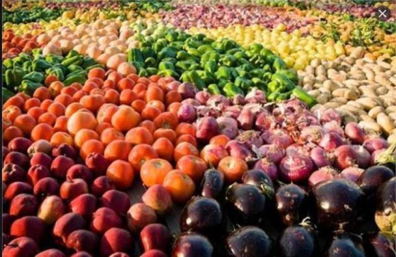 أسعار الخضروات اليوم الخميس 1 يوليو 2021