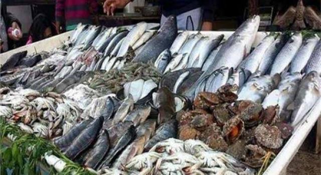 أسعار الأسماك في الأسواق اليوم السبت.. الماكريل بـ25 جنيه