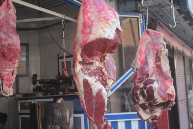 ”حماية المستهلك” يحذر المواطنين عند شراء اللحوم قبل عيد الأضحى