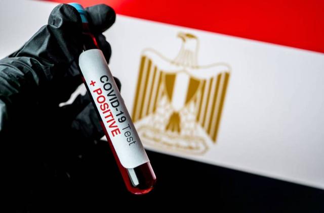 مؤشرات حالات كورونا