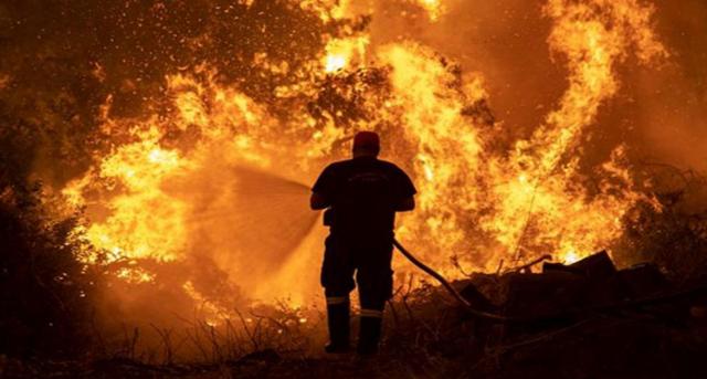 الأرصاد تكشف مدى تأثر مصر بحرائق الغابات في تونس والجزائر واليونان