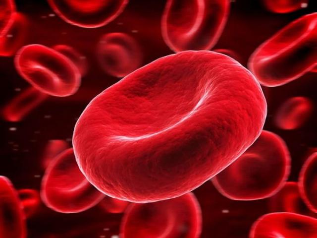 دراسة: تغيرات خلايا الدم الحمراء تساهم في الإصابة بمرض الذئبة