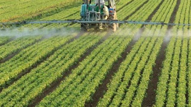 وزير الزراعة: تغير المناخ يؤثر بشكل مباشر على معدل إنتاجية المحاصيل