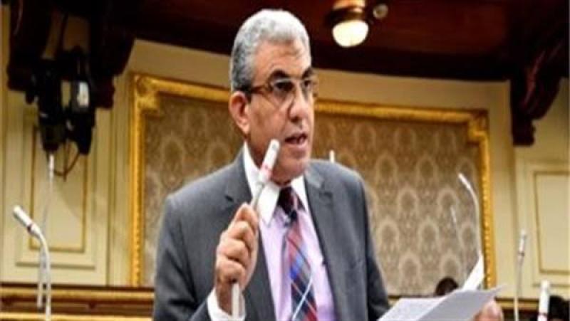 برلماني: «انضمام مصر إلى «بريكس» نجاح استراتيجي للدولة