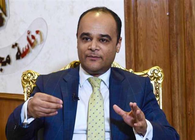 نادر سعد المتحدث باسم الحكومة