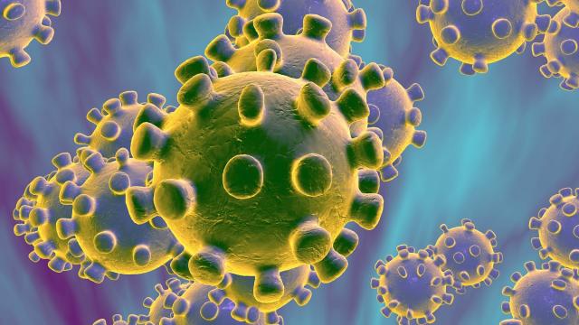 كل ما تريد معرفته عن فيروس ”هيهي” بعد انتشاره في الصين وتصدره التريند