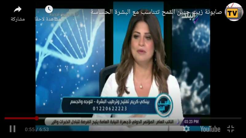 الدكتورة دينا أبو السعود