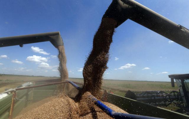 الزراعة: القمح يمثل المحصول الاستراتيجي الأكبر لمصر خلال الموسم الشتوي