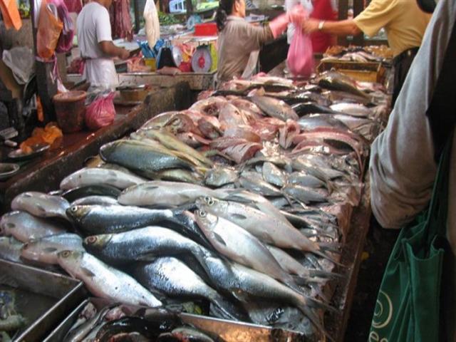 أسعار الأسماك في الأسواق اليوم الجمعة 12-11-2021