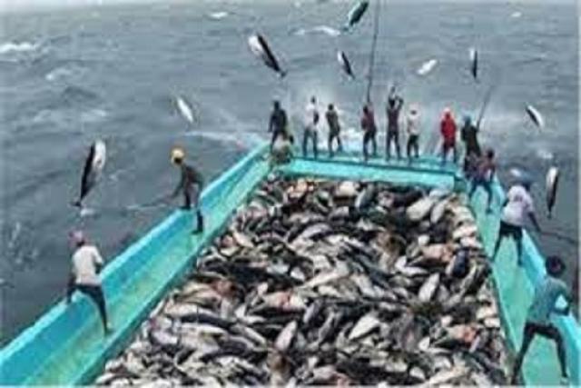 اليابان تقدم  125 ألف فرنك سويسري للبلدان الأقل نموا في مصايد الأسماك