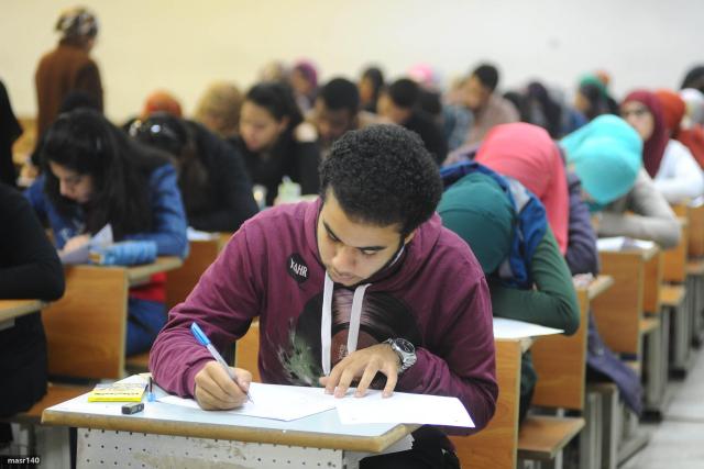 صفية صلاح 