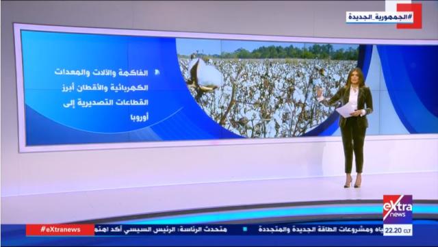 38 % زيادة في الصادرات المصرية للاتحاد الأوروبي خلال 8 أشهر.. فيديو