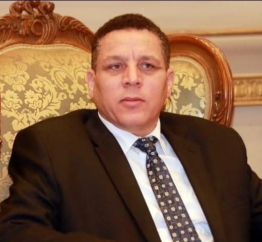 النائب أحمد محسن عضو لجنة الزراعة بمجلس الشيوخ