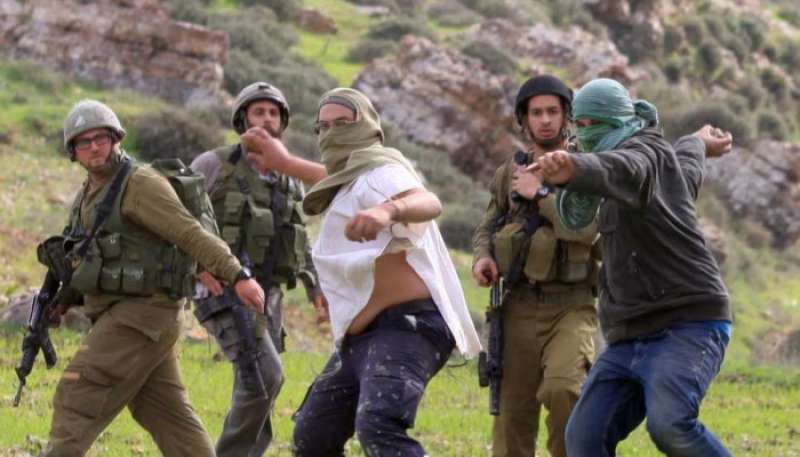 مرصد الأزهر يحذر من إرهاب المستوطنين ضد الفلسطينيين