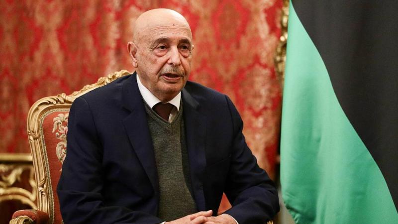عقيلة صالح: مصر تدعم الحفاظ على وحدة ليبيا وكرامة الليبيين