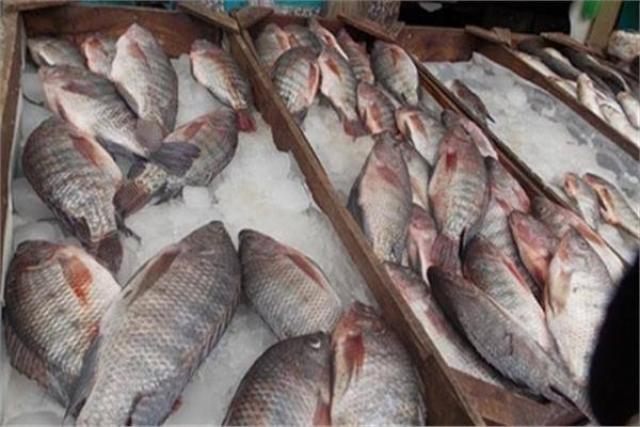 أسعار الأسماك في الأسواق اليوم الثلاثاء 28 ديسمبر