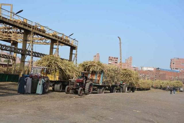 محافظ المنيا: مصنع أبو قرقاص ينتج ثلثي إجمالى السكر في مصر