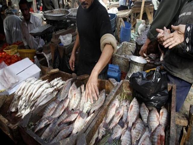 أسعار الأسماك في مصر اليوم الثلاثاء 18 يناير 2022