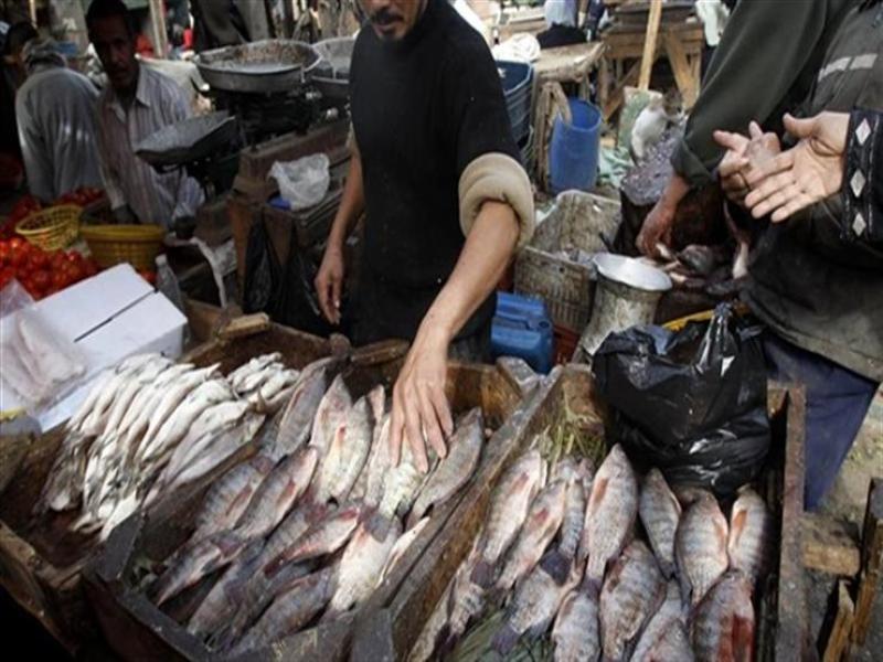 ما سبب ارتفاع أسعار الأسماك في الفترة الحالية؟.. الزراعة تُجيب «فيديو»