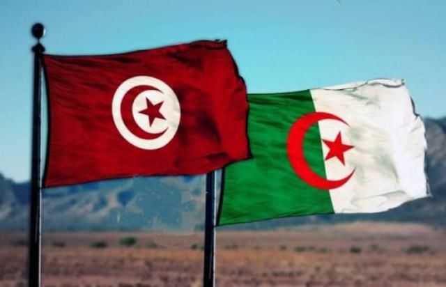 مساعٍ من تونس والجزائر لإنهاء الأزمة في ليبيا