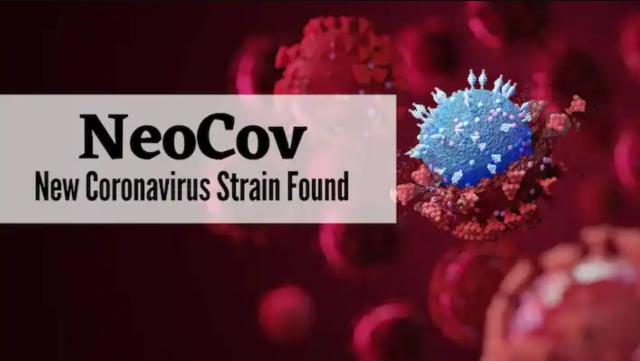 فيروس NeoCov