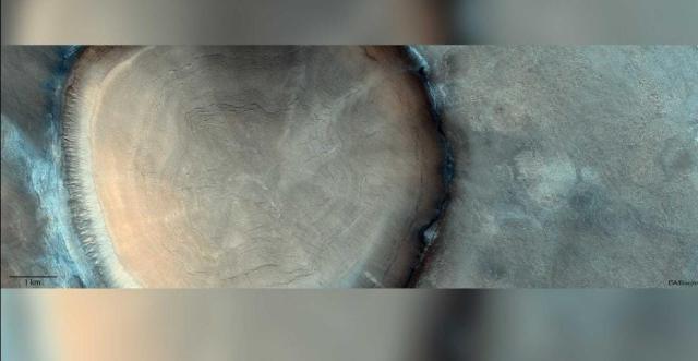 صورة جذع الشجرة على كوكب المريخ