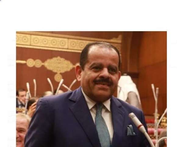 النائب طارق عبد الهادي، عضو مجلس الشيوخ