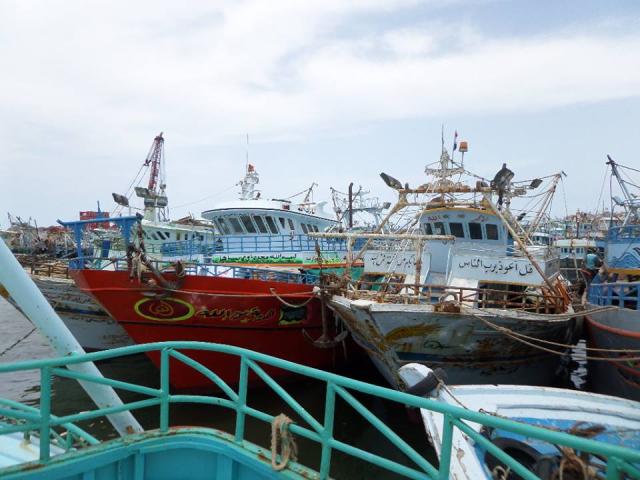 صورة لمراكب صيد بكفرالشيخ 